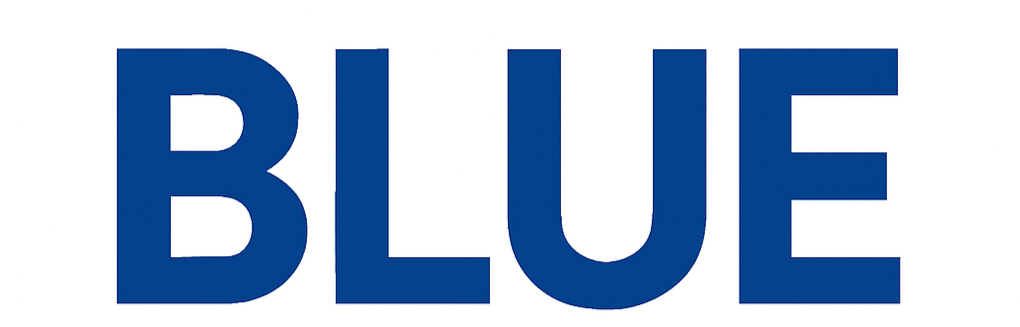 Blue Security Systems Company